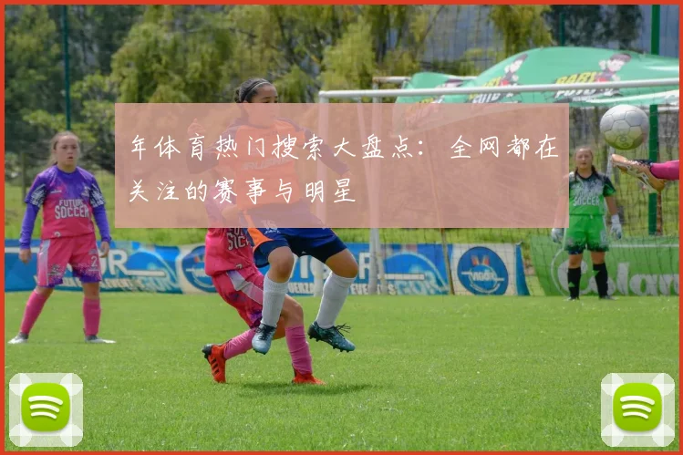 年体育热门搜索大盘点：全网都在关注的赛事与明星