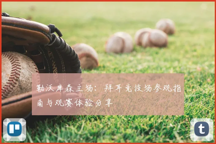 勒沃库森主场:拜耳竞技场参观指南与观赛体验分享