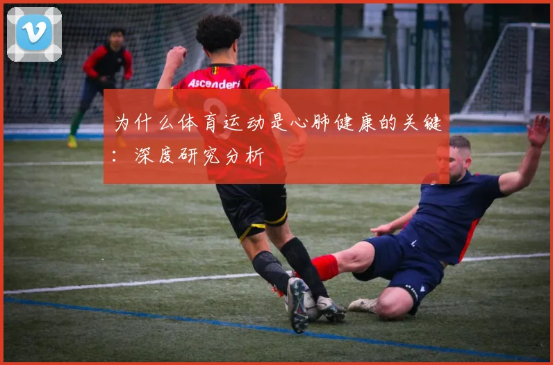 为什么体育运动是心肺健康的关键：深度研究分析