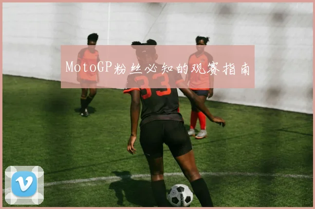MotoGP粉丝必知的观赛指南