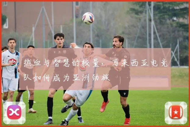 热血与智慧的较量，马来西亚电竞队如何成为亚洲劲旅