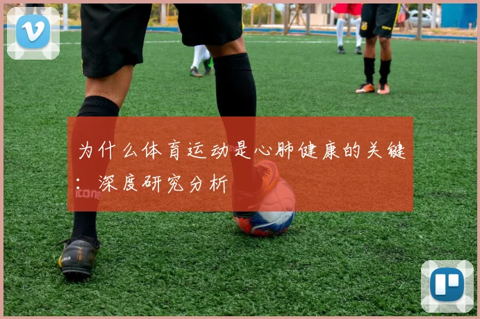 为什么体育运动是心肺健康的关键：深度研究分析