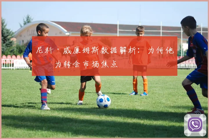 尼科·威廉姆斯数据解析:为何他成为转会市场焦点