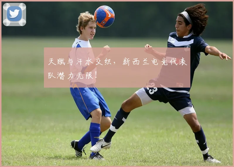 天赋与汗水交织，新西兰电竞代表队潜力无限！